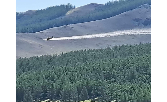 Богд ууланд шавж устгал эхэллээ