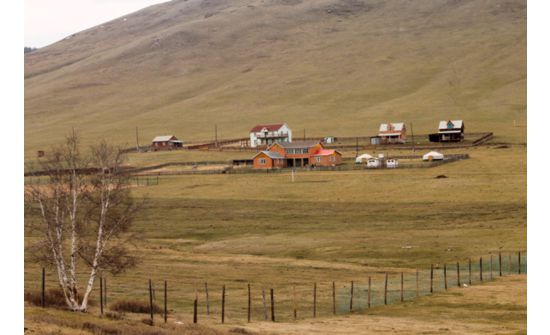 Партизаны өглөө