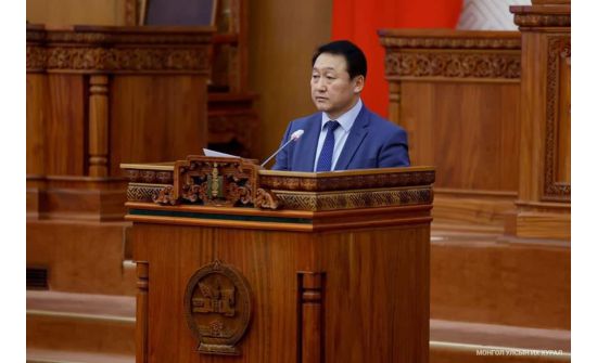 Д.Тогтохсүрэн: Зөвлөлдөх зөвлөлийн 11 гишүүн зөвхөн санал асуулга зохион байгуулах үүрэгтэй