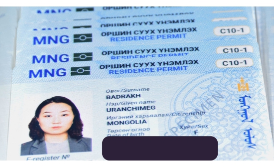 Монгол улс бүх ангиллын визийг цахимаар олгоно