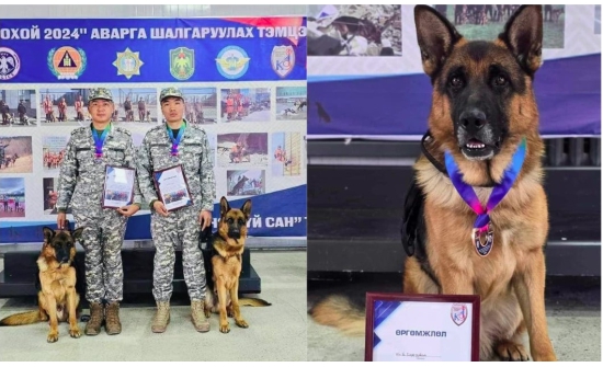 Туркийн газар хөдлөлтөд үүрэг гүйцэтгэсэн "Балу" албаны нохдын тэмцээнээс хүрэл медаль хүртэв