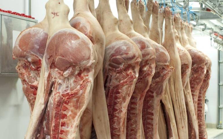Өвөр Монгол: Хөххотын компани Монгол улсад 25 тонн гахайн мах экспортлов