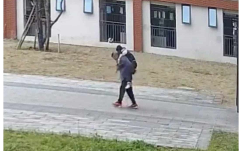 Хятад: Багш нь шавиа өдөр бүр үүрч гэрт нь хүргэдгийн учир юу байв?