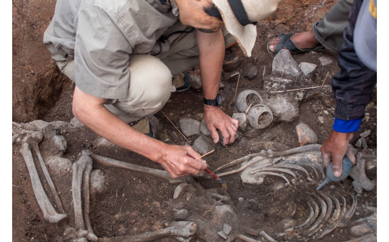 Перу улсаас гурван мянган жилийн өмнөх санваартны булш олджээ